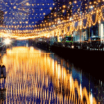 crociera di capodanno sui navigli 2