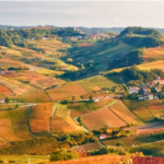 autunno nelle langhe grinzane cavour e barolo