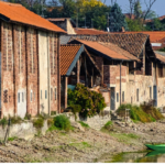 boat tour on naviglio grande starting from bernate 1