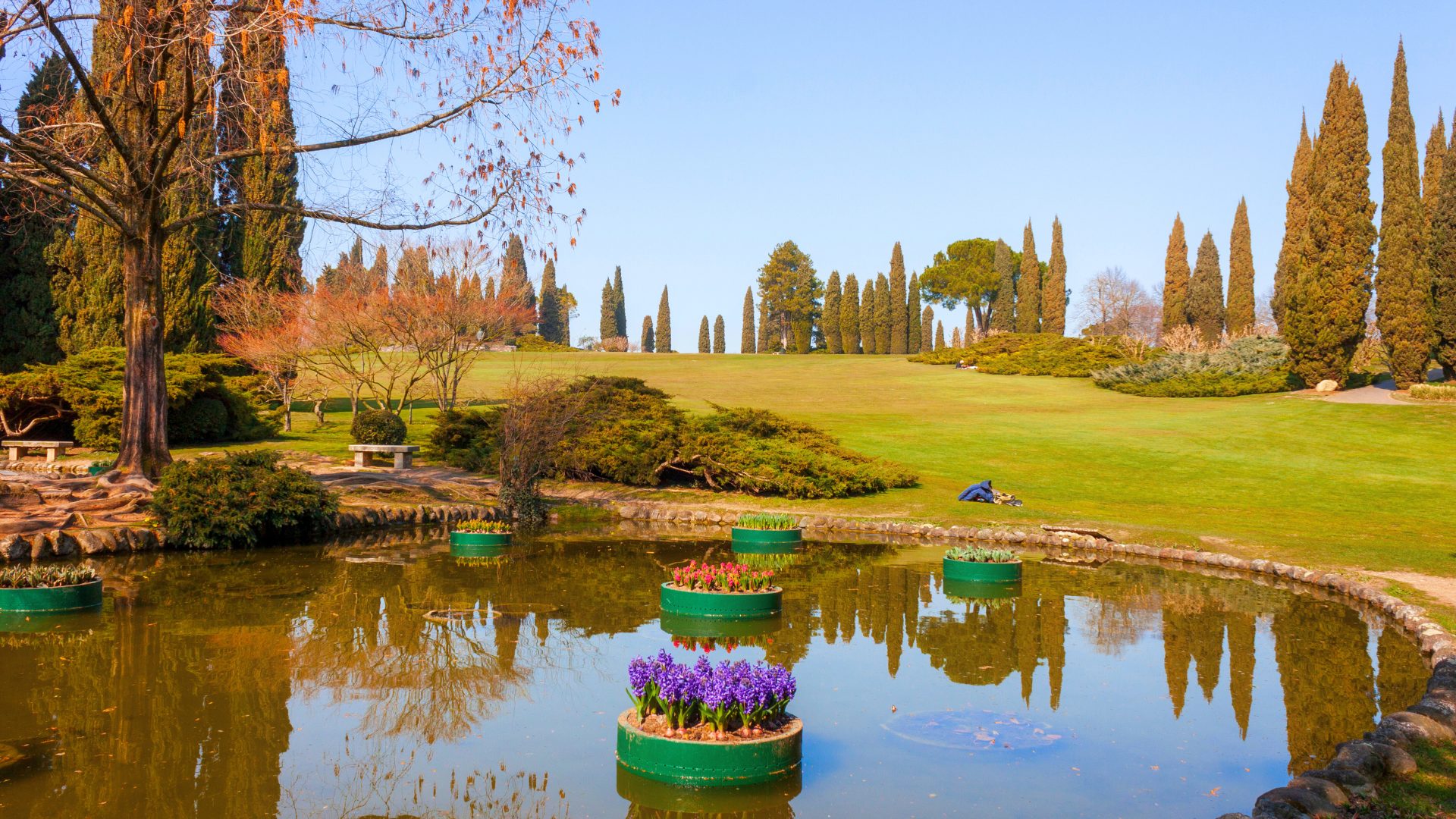 foliage al parco sigurta e borghetto sul mincio 1 1