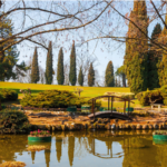 foliage al parco sigurta e borghetto sul mincio
