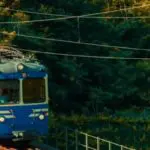 immagine treno del foliage 2025