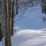 ciaspolata a ponte di legno con pranzo tipico