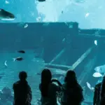 genova e l acquario piu grande d europa