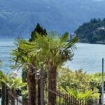 escursione in giornata como bellagio e lugano con crociera privata